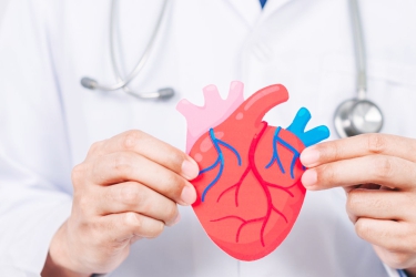 Dr Sandeep Parekh, Best Cardiologist at Livasa Hospital Mohali near Chandigarh for Heart Hole Closure, ASD Closure, VSD Closure, Best Heart Specialist at Arogya Heart Centre Mohali, Punjab, Heart Hole Treatment in Mohali, Punjab