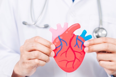 Dr Sandeep Parekh, Best Cardiologist at Shalby Hospital Mohali for Heart Hole Closure, ASD Closure, VSD Closure, Best Heart Specialist at Arogya Heart Centre Mohali, Punjab, Heart Hole Treatment in Mohali, Punjab